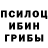 Псилоцибиновые грибы GOLDEN TEACHER Mahamad Mammadov